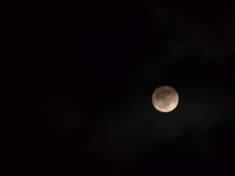 f:id:elmikamino:20130425211253j:image:w500