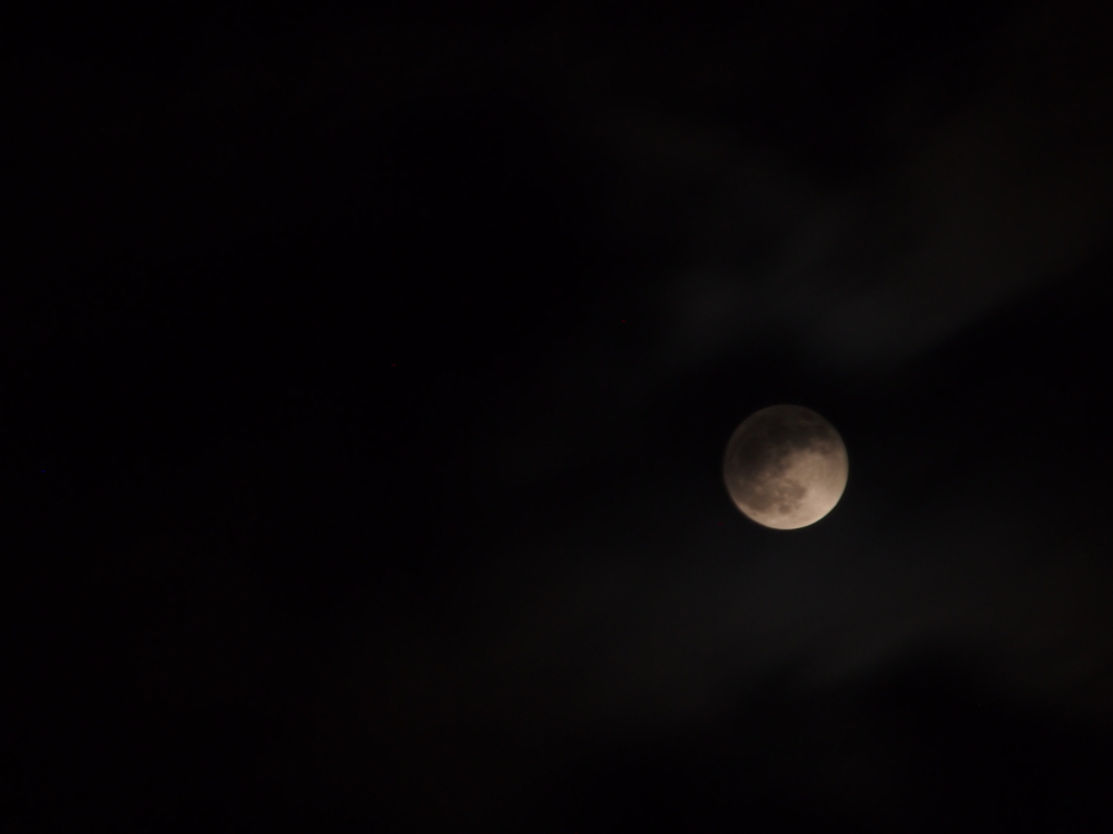 f:id:elmikamino:20130425211257j:image:w500
