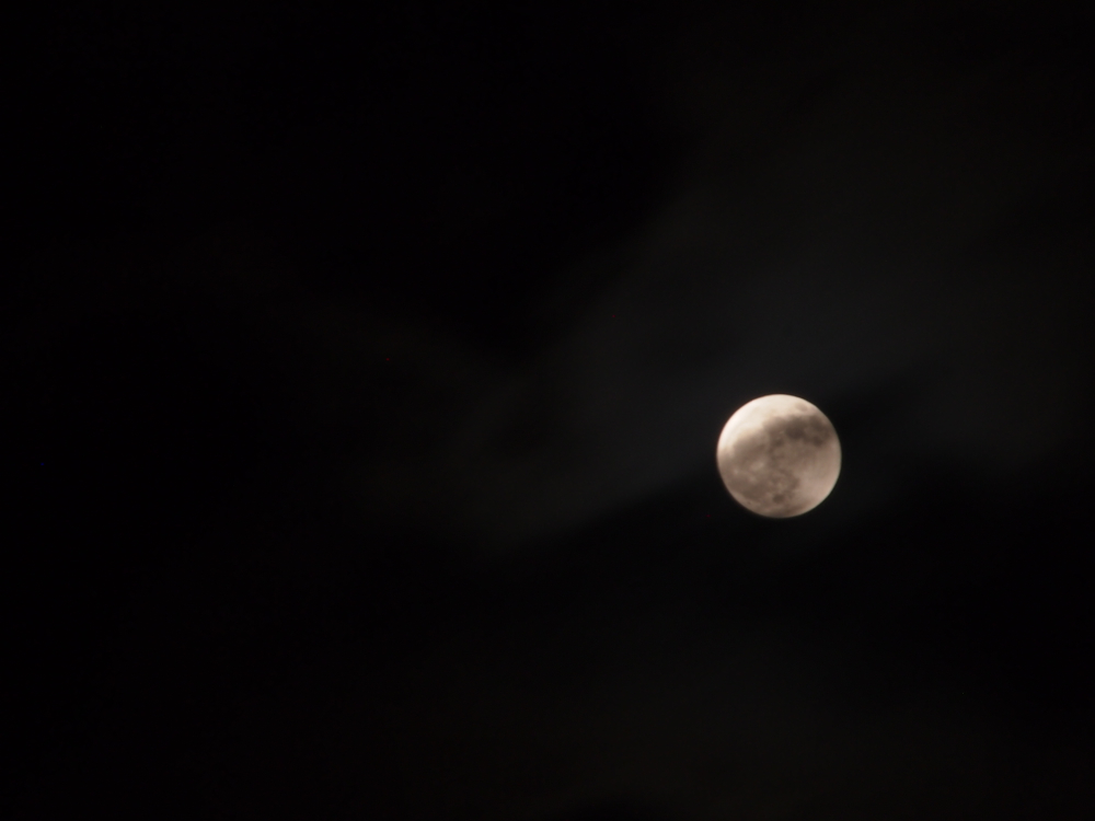 f:id:elmikamino:20130425211304j:image:w500
