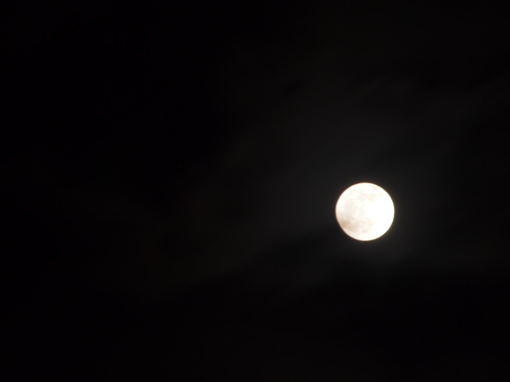 f:id:elmikamino:20130425211309j:image:w500