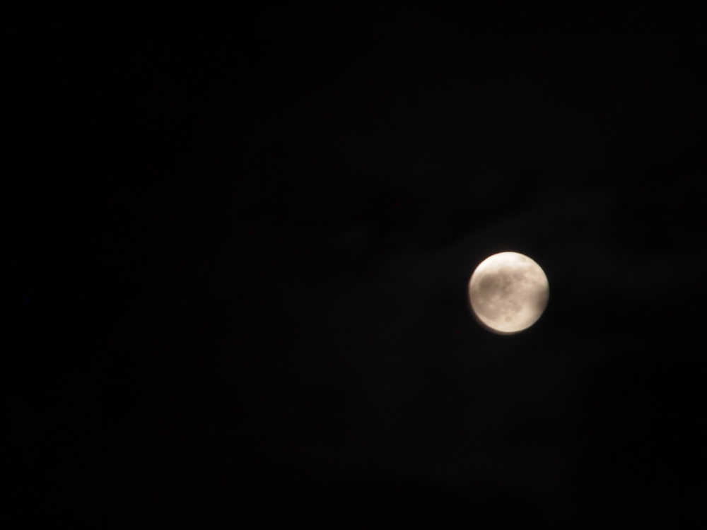 f:id:elmikamino:20130425211316j:image:w500