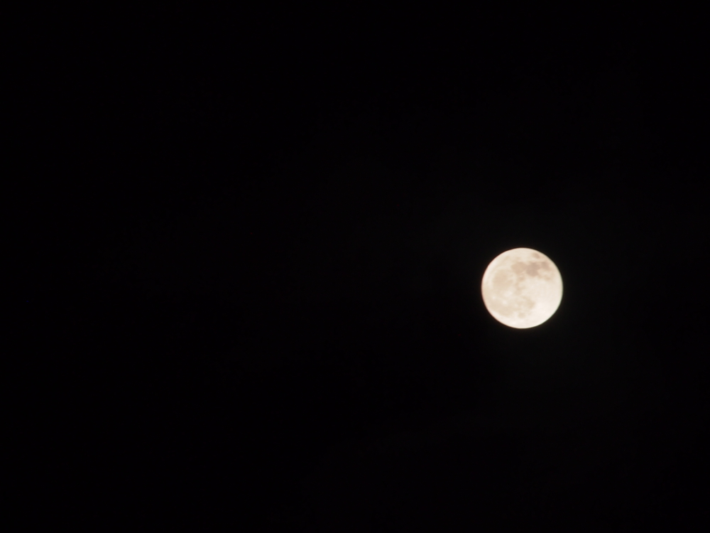 f:id:elmikamino:20130425211338j:image:w500