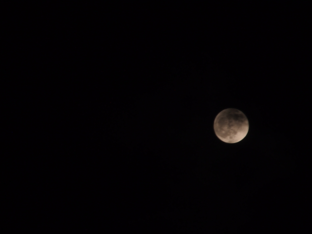 f:id:elmikamino:20130425211343j:image:w500