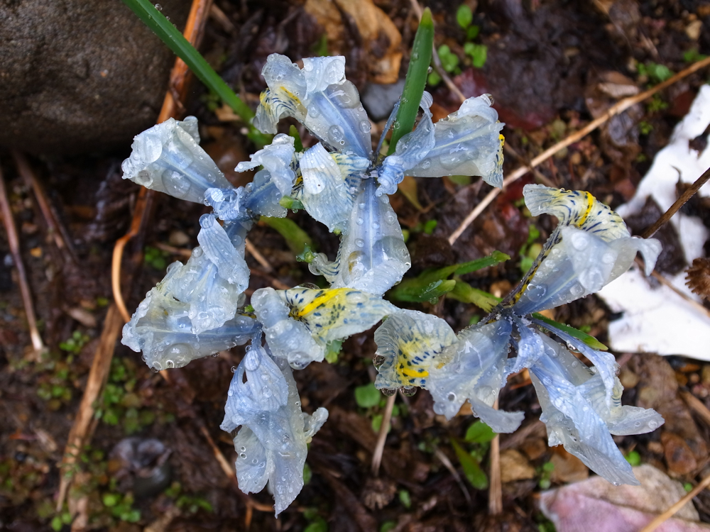 f:id:elmikamino:20130427105307j:image:w500