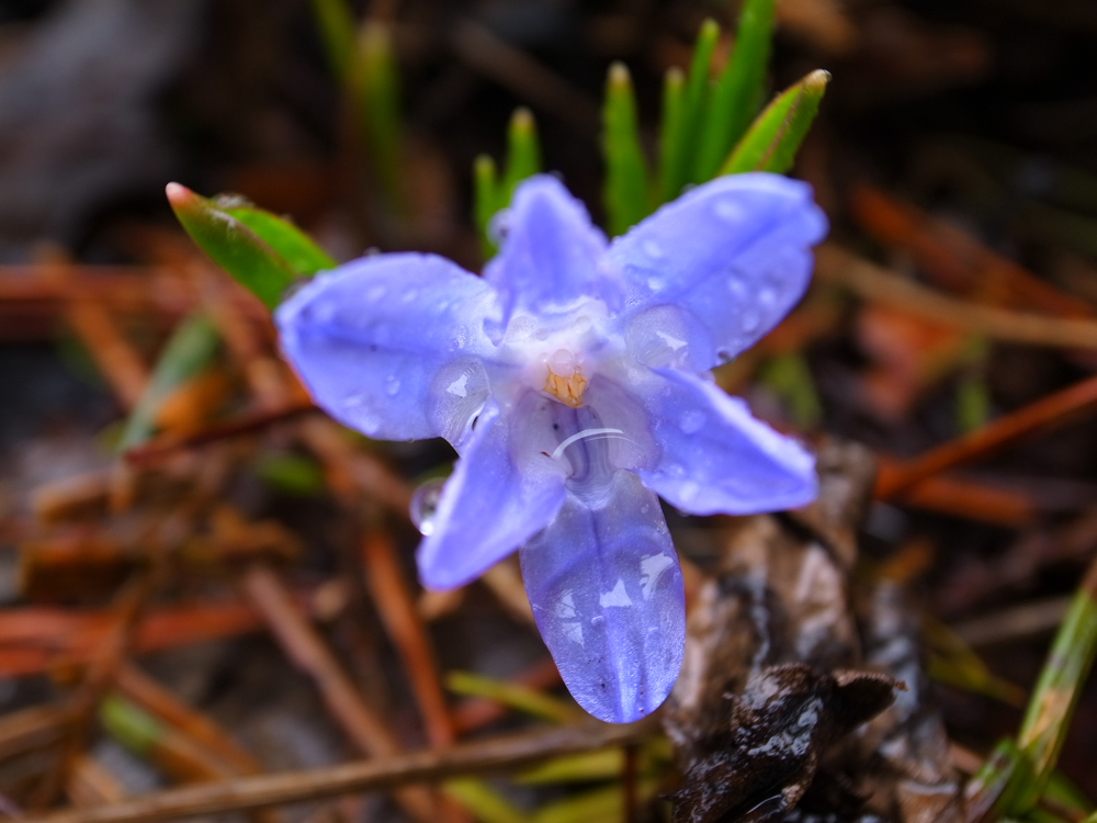 f:id:elmikamino:20130427105625j:image:w500