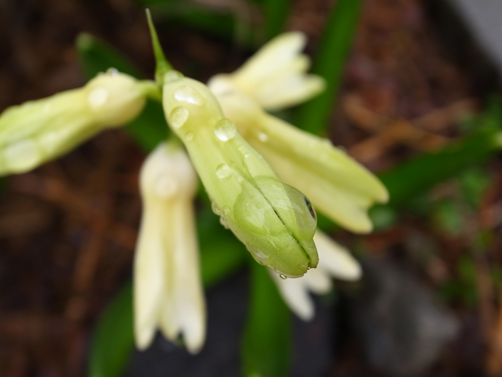 f:id:elmikamino:20130427110647j:image:w500