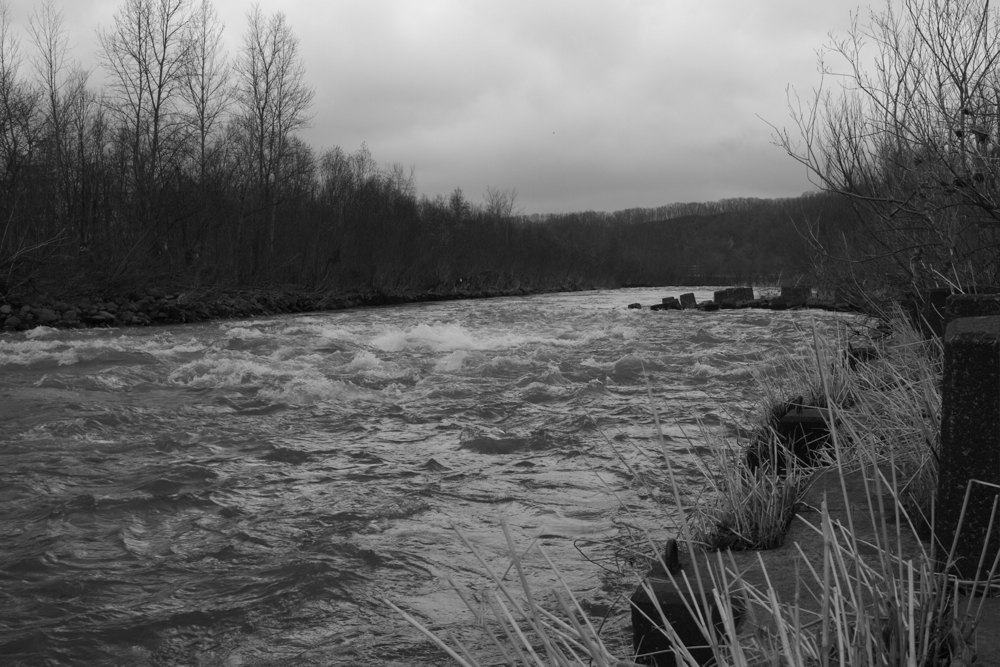 f:id:elmikamino:20130427155141j:image:w500