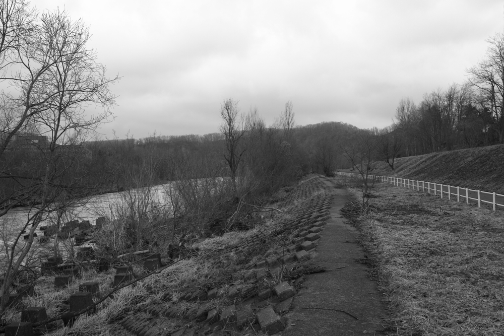f:id:elmikamino:20130427155239j:image:w500