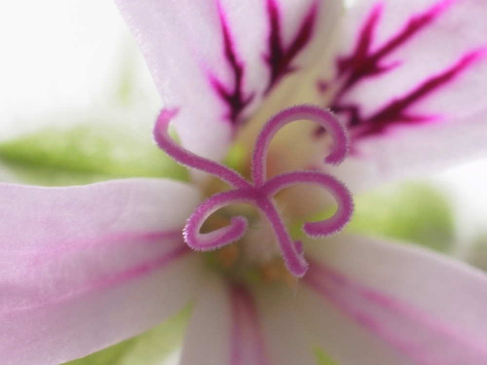 f:id:elmikamino:20130428103323j:image:w500