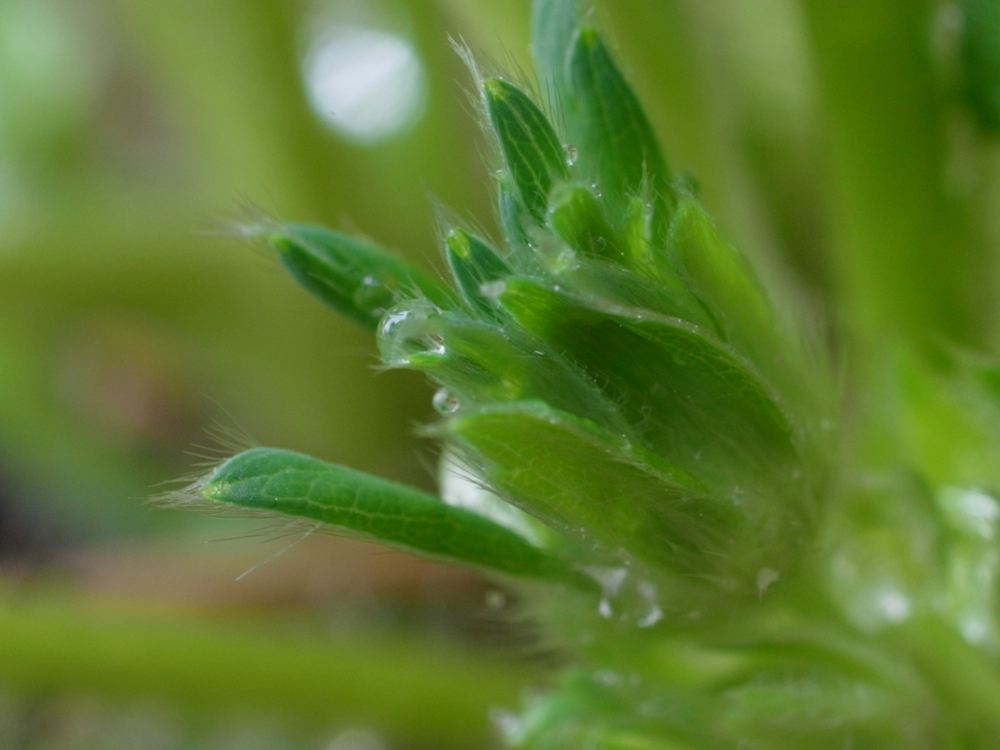 f:id:elmikamino:20130428110237j:image:w500