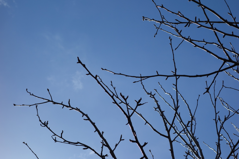 f:id:elmikamino:20130429102418j:image:w500