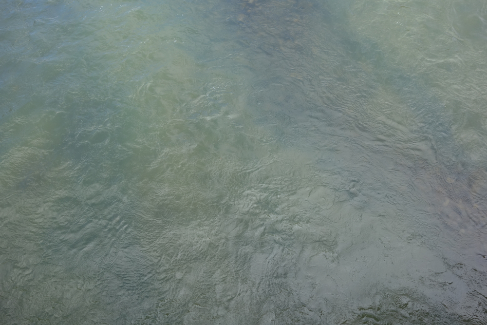 f:id:elmikamino:20130429105116j:image:w500