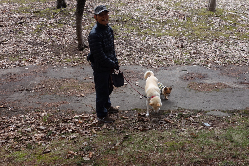 f:id:elmikamino:20130429110154j:image:w500