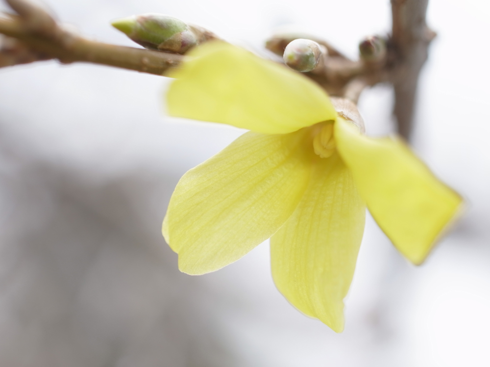 f:id:elmikamino:20130502092649j:image:w500