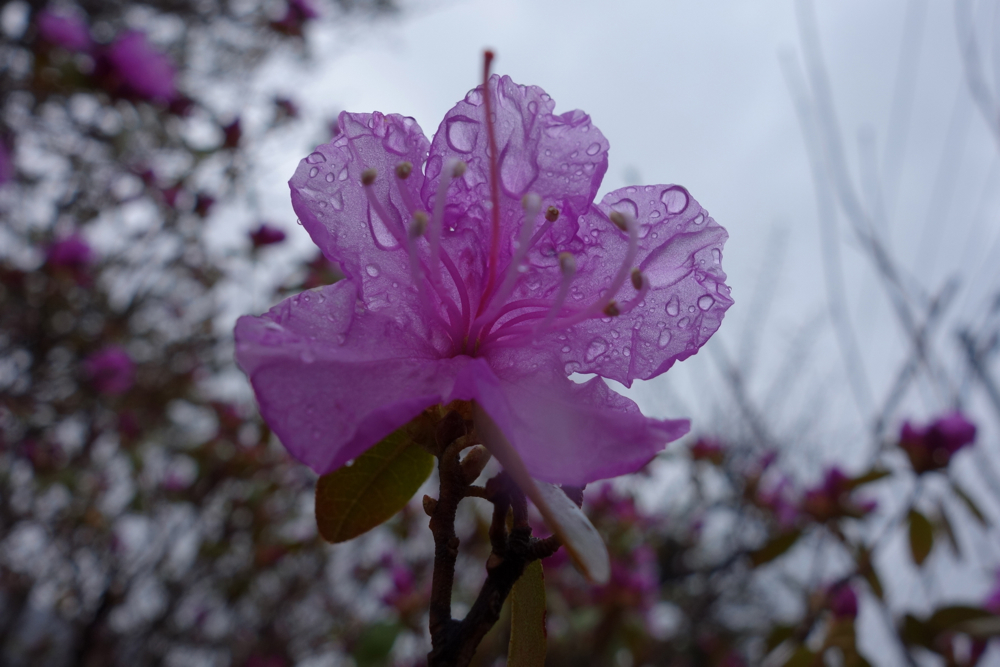 f:id:elmikamino:20130503105548j:image:w500