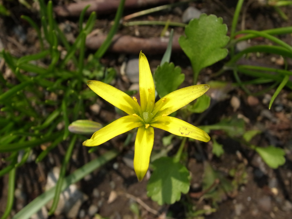 f:id:elmikamino:20130509103229j:image:w500