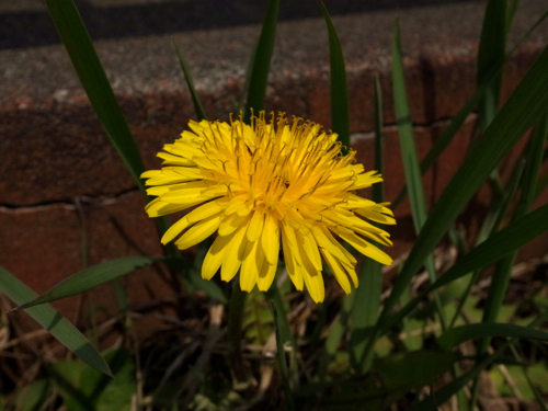 f:id:elmikamino:20130509103757j:image:w500