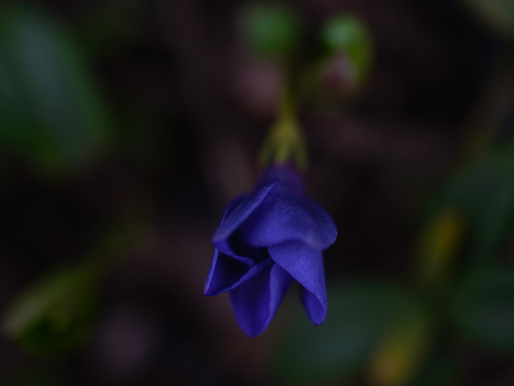 f:id:elmikamino:20130513093528j:image:w500 f:id:elmikamino:20130513093528j:image:w500