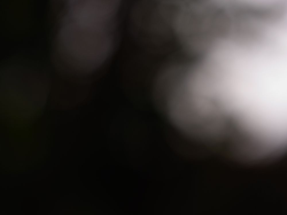 f:id:elmikamino:20130513094915j:image:w500 f:id:elmikamino:20130513094915j:image:w500