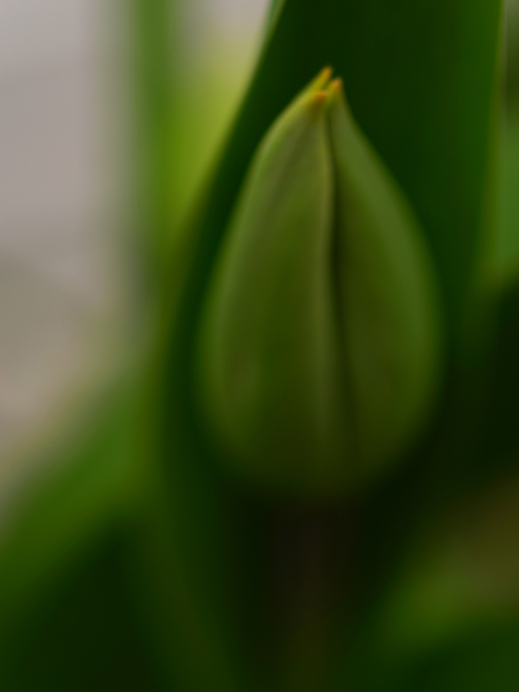 f:id:elmikamino:20130513100442j:image:h500 f:id:elmikamino:20130513100442j:image:h500