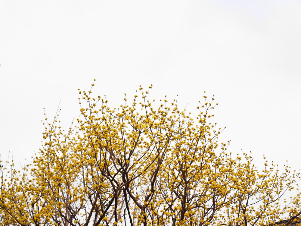 f:id:elmikamino:20130513100932j:image:w500 f:id:elmikamino:20130513100932j:image:w500
