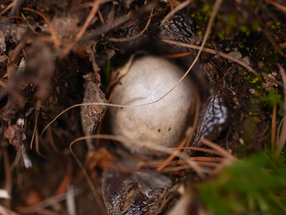 f:id:elmikamino:20130513102452j:image:w500 f:id:elmikamino:20130513102452j:image:w500