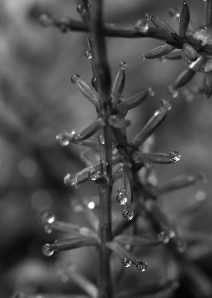 f:id:elmikamino:20130516090112j:image:h500