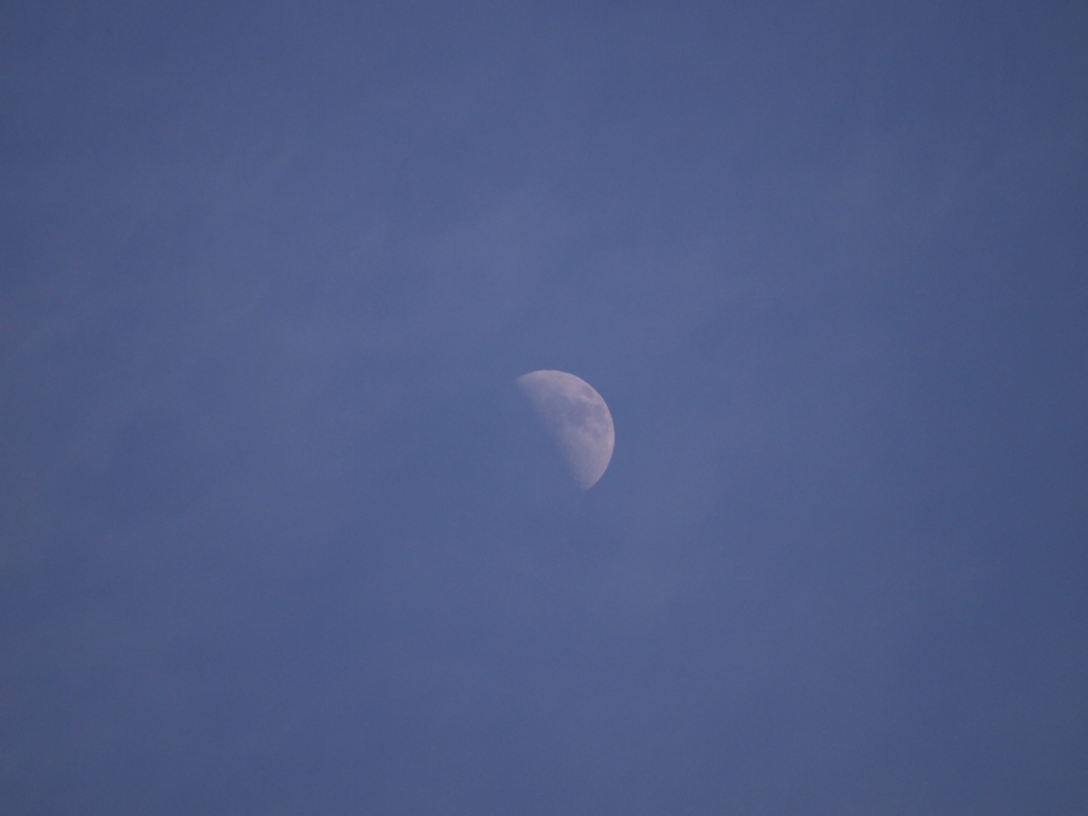 f:id:elmikamino:20130518170426j:image:w500