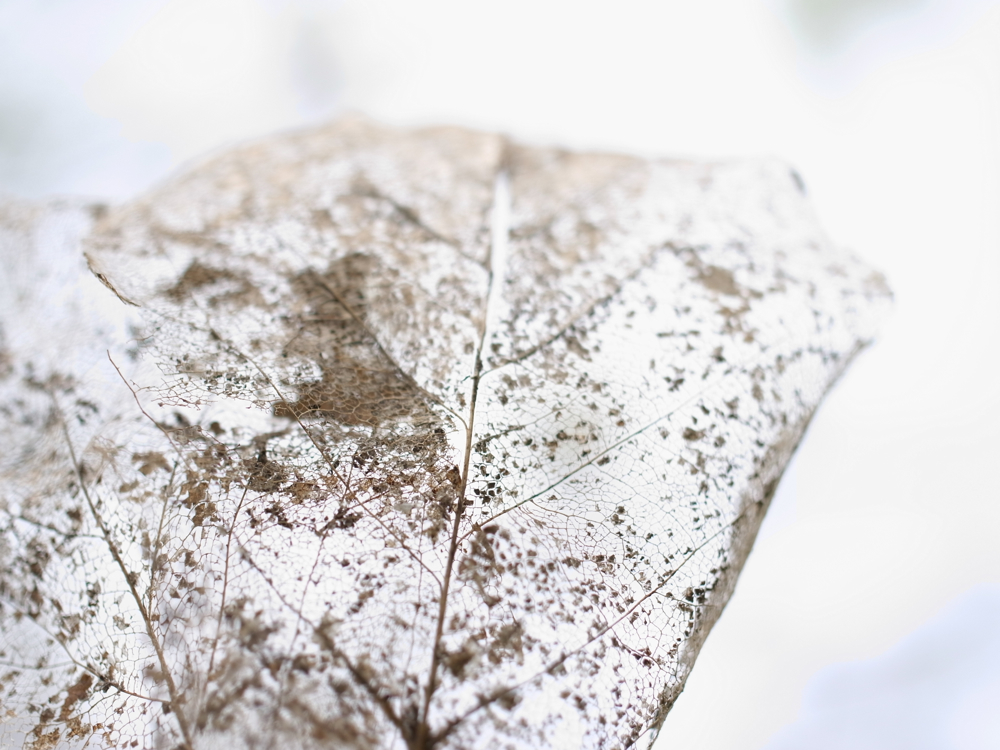 f:id:elmikamino:20130519104810j:image:w500