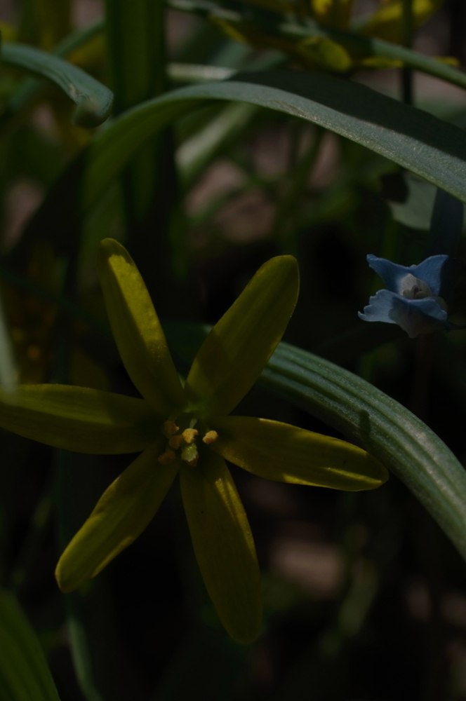 f:id:elmikamino:20130521105340j:image:h500