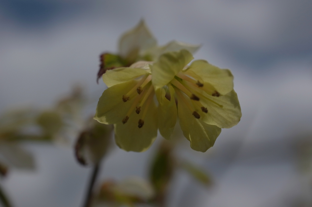 f:id:elmikamino:20130521110857j:image:w500