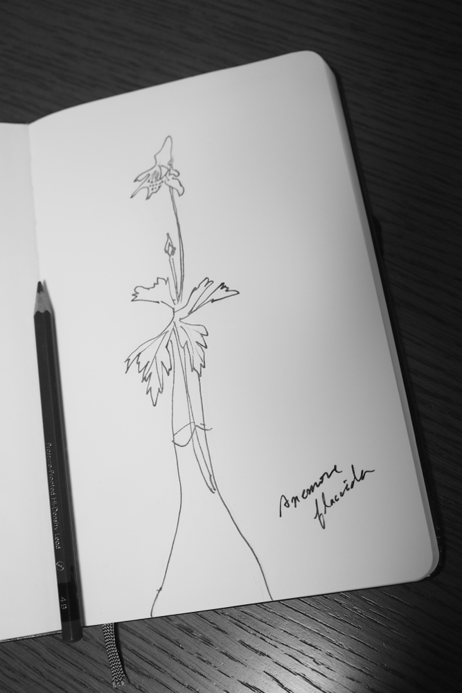 f:id:elmikamino:20130524002229j:image:w500