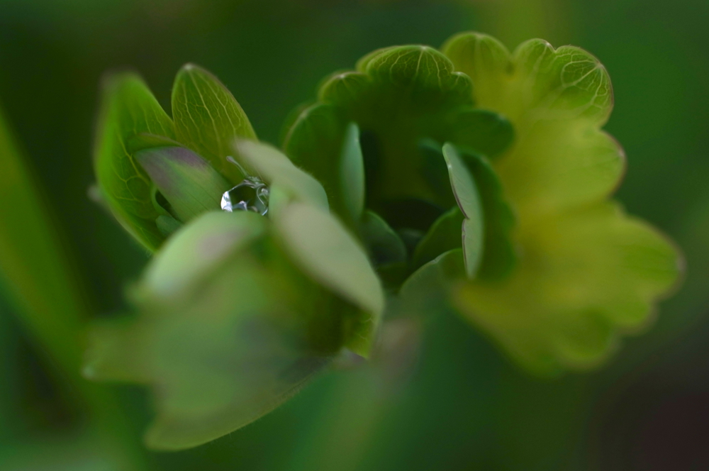 f:id:elmikamino:20130524102207j:image:w500