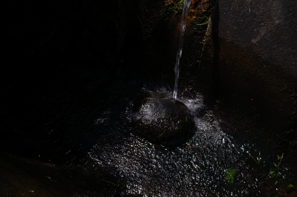 f:id:elmikamino:20130524104239j:image:w500