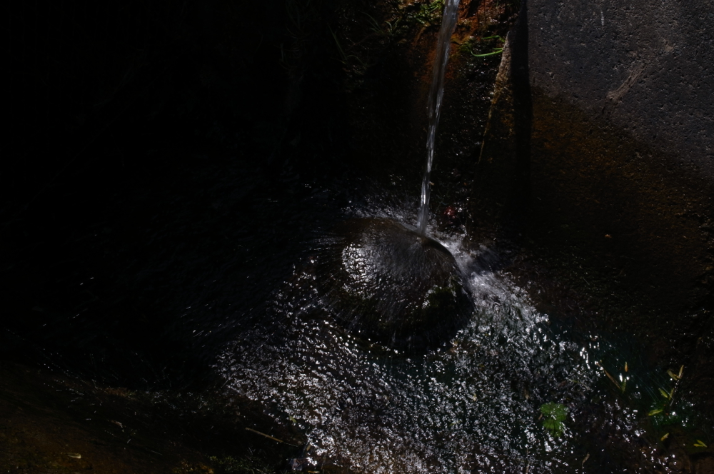 f:id:elmikamino:20130524104244j:image:w500