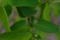 20130525145216
