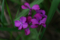 20130525150755