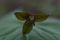 20130525151848
