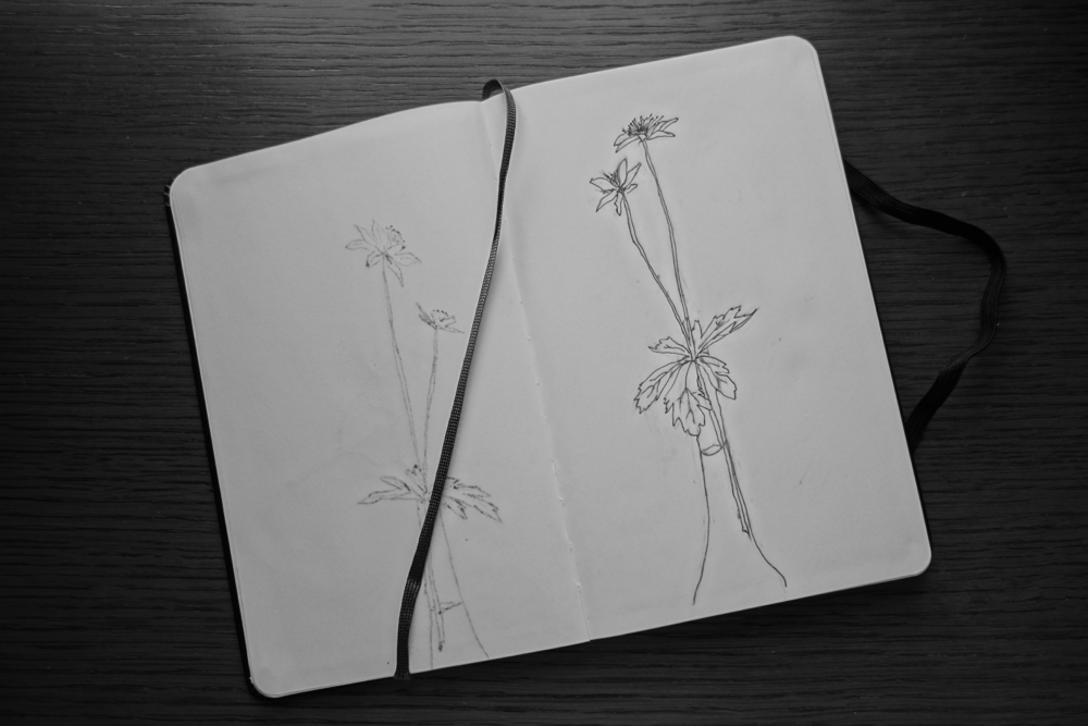 f:id:elmikamino:20130526103818j:image:w500