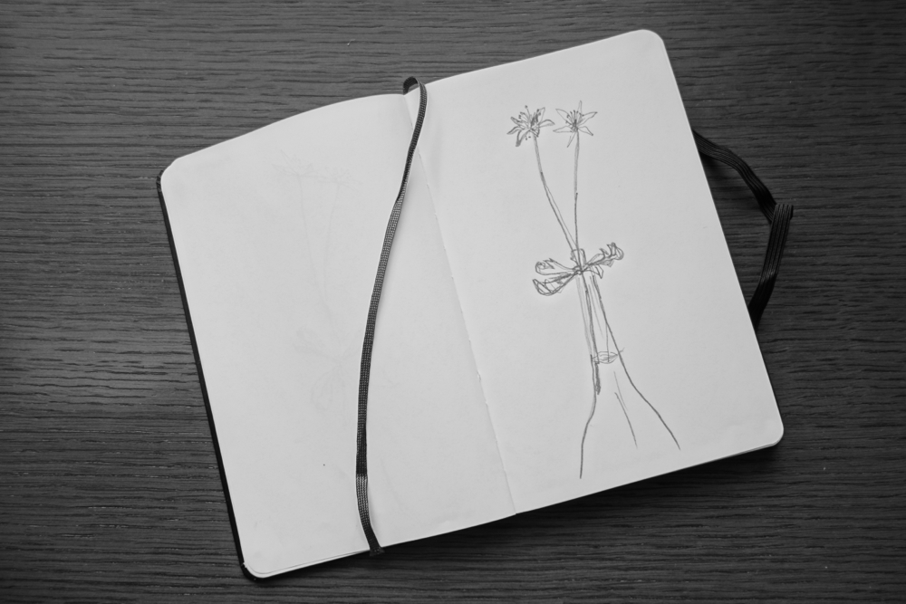 f:id:elmikamino:20130528111416j:image:w500