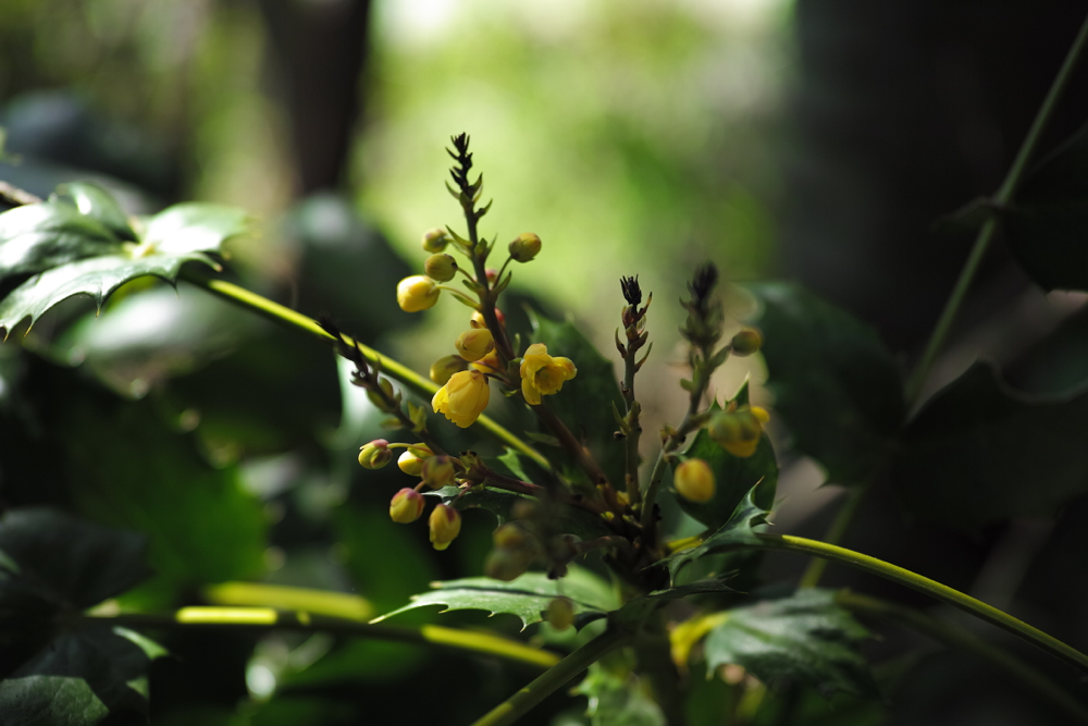 f:id:elmikamino:20130601092307j:image:w500 f:id:elmikamino:20130601092307j:image:w500