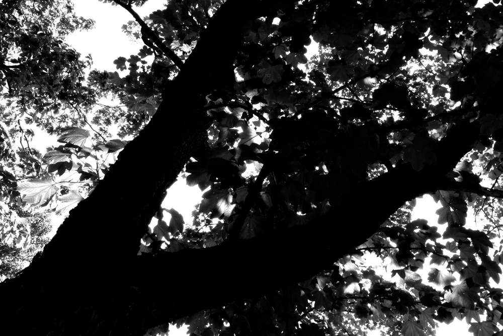 f:id:elmikamino:20130606103200j:image:w500