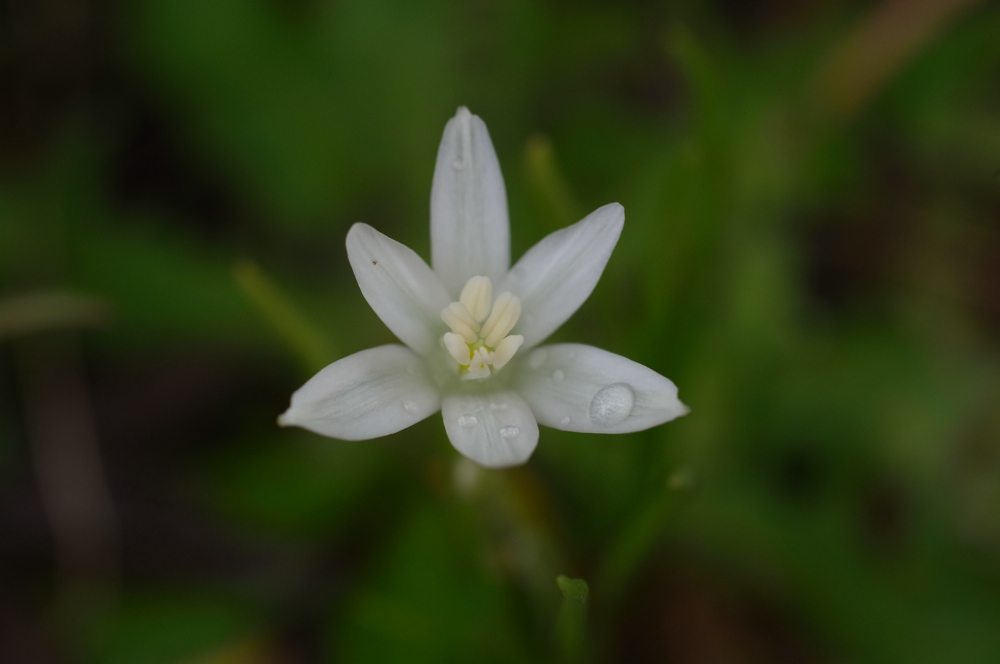 f:id:elmikamino:20130615111841j:image:w500