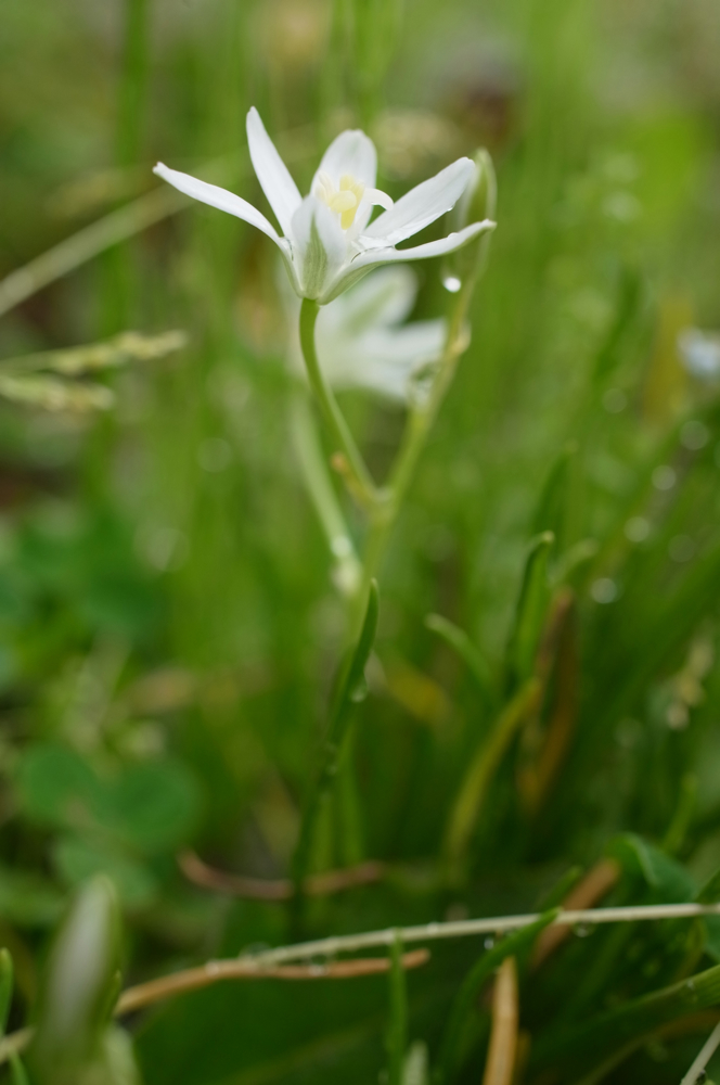 f:id:elmikamino:20130615111919j:image:h500