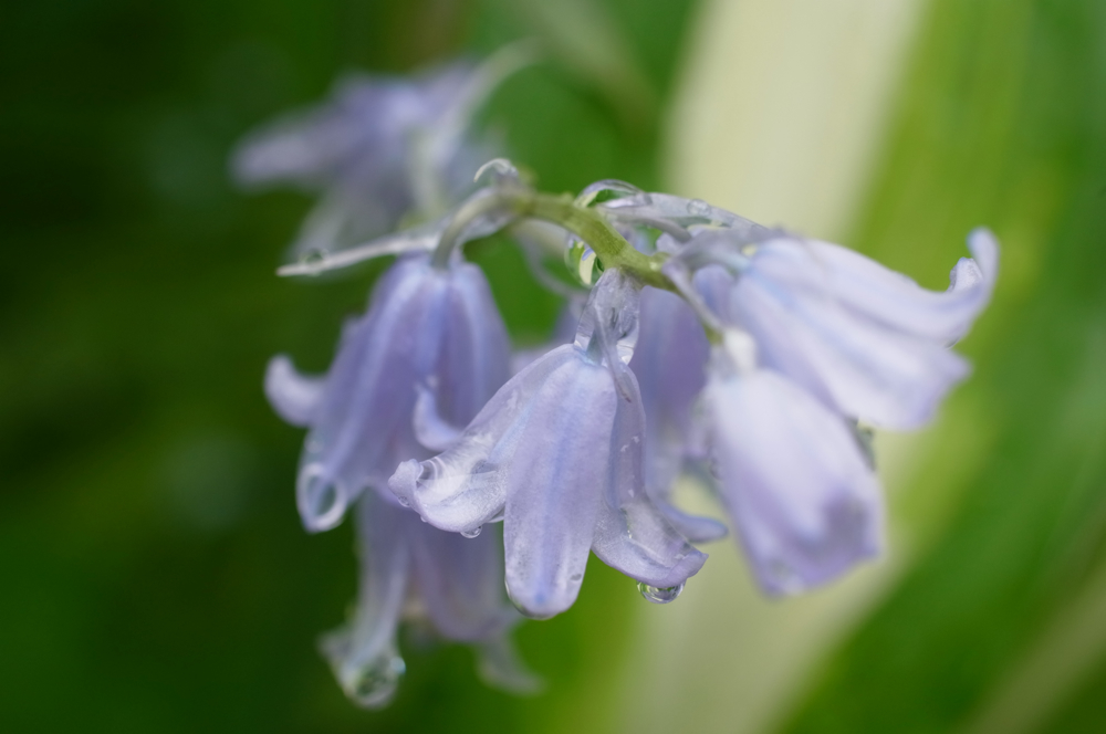 f:id:elmikamino:20130615112111j:image:w500