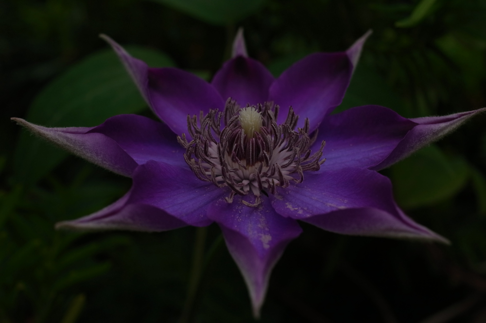 f:id:elmikamino:20130616103806j:image:w500