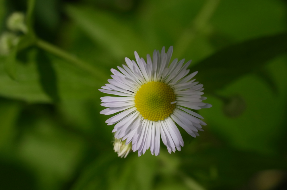 f:id:elmikamino:20130616105137j:image:w500