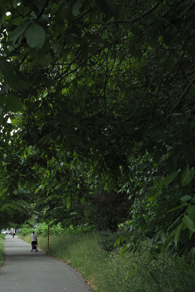 f:id:elmikamino:20130620111511j:image:h500