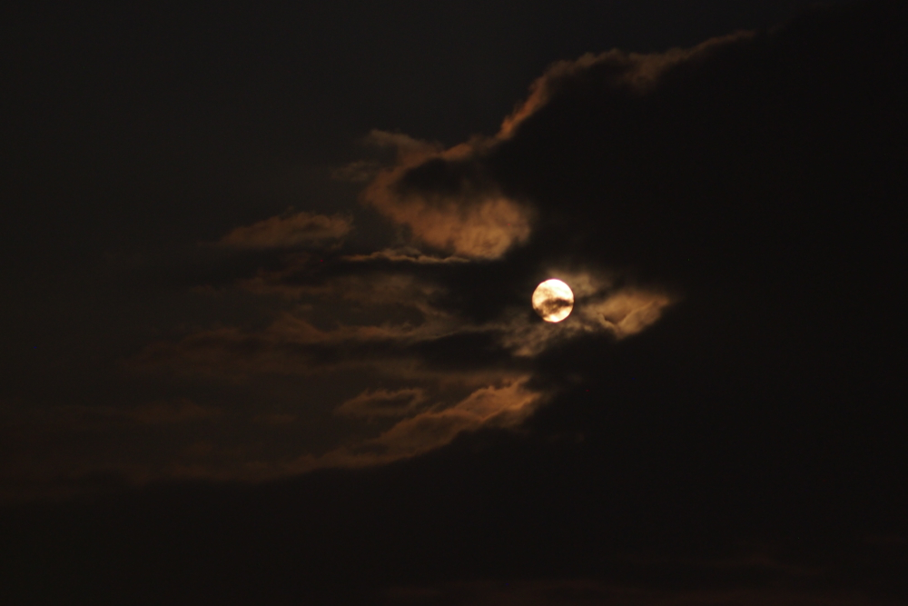 f:id:elmikamino:20130624205947j:image:w500