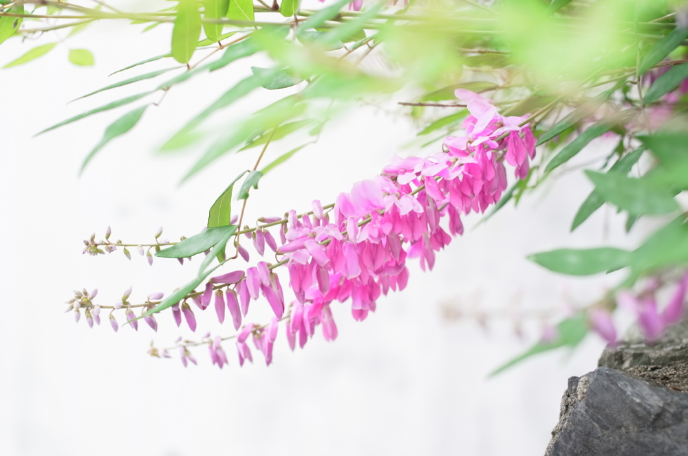 f:id:elmikamino:20130628101325j:image:w500 f:id:elmikamino:20130628101325j:image:w500